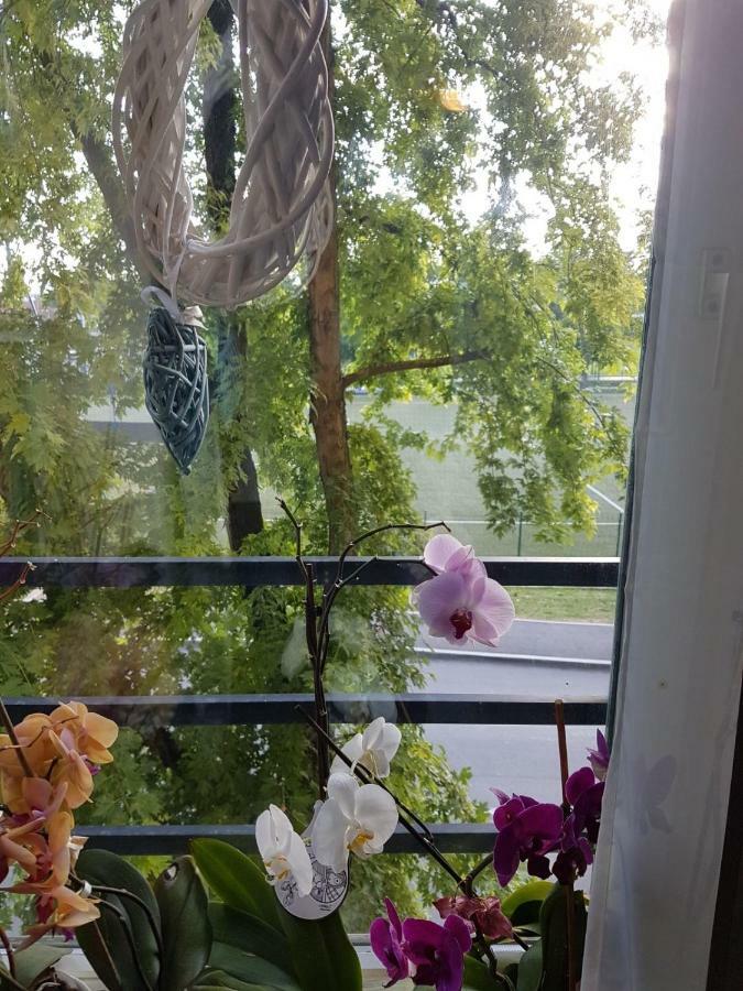 Studio Apartman Zagreb Zapad Vrapce Bagian luar foto